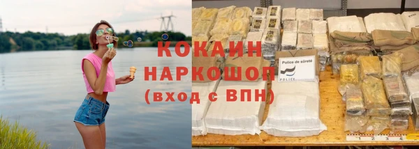 индика Заводоуковск