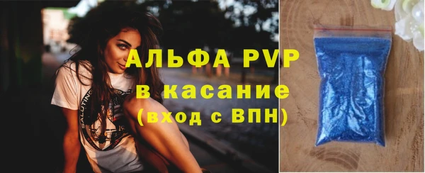 индика Заводоуковск