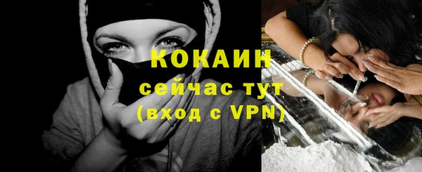 индика Заводоуковск