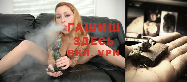 индика Заводоуковск