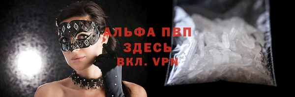 индика Заводоуковск