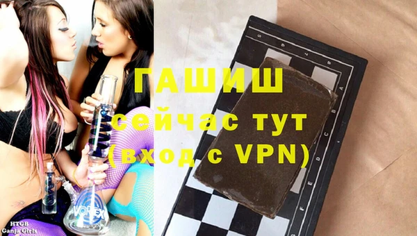 индика Заводоуковск