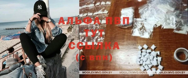 индика Заводоуковск