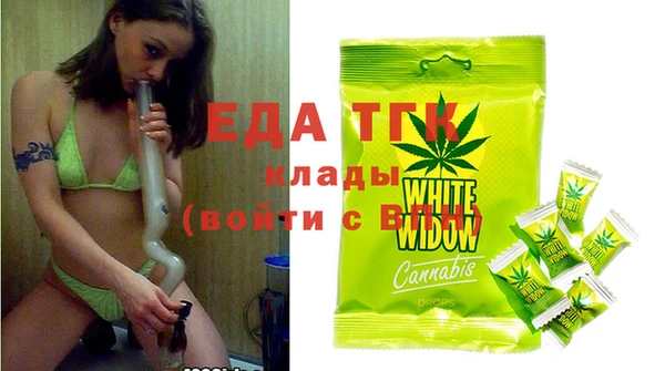 индика Заводоуковск
