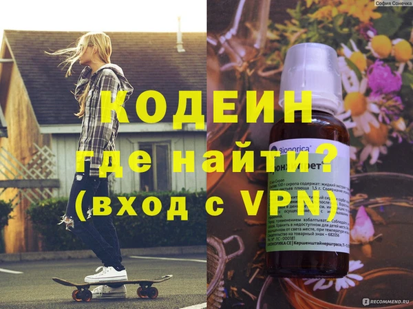 индика Заводоуковск
