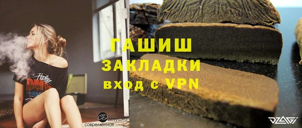 индика Заводоуковск
