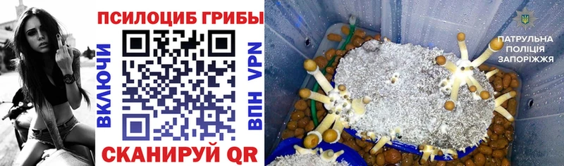 Купить закладки  Пошехонье  Галлюциногенные грибы мухоморы 